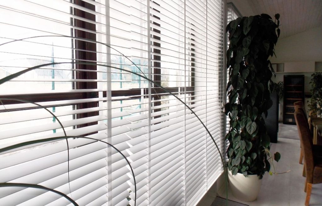 Create a Haven of Peace and Privacy with Motorised Shutters Harness the Power Within!